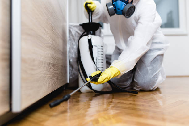 Best Affordable Pest Control Services  in Mounds, OK