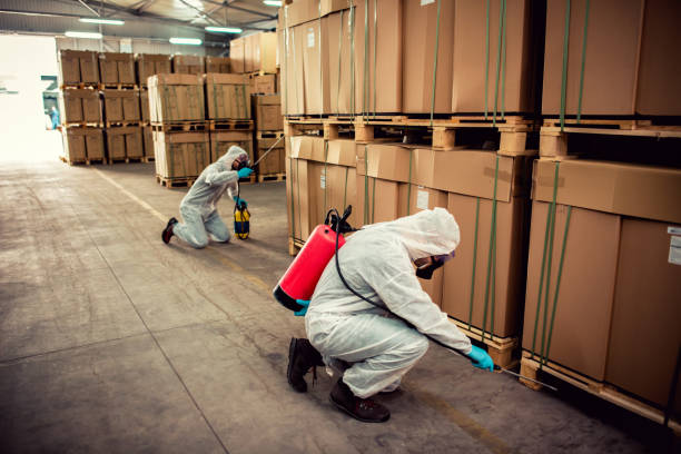 Best Best Pest Control Companies  in Mounds, OK
