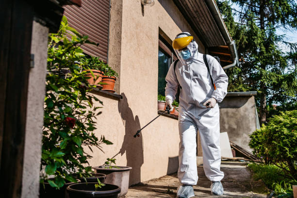 Best Insect Control  in Mounds, OK