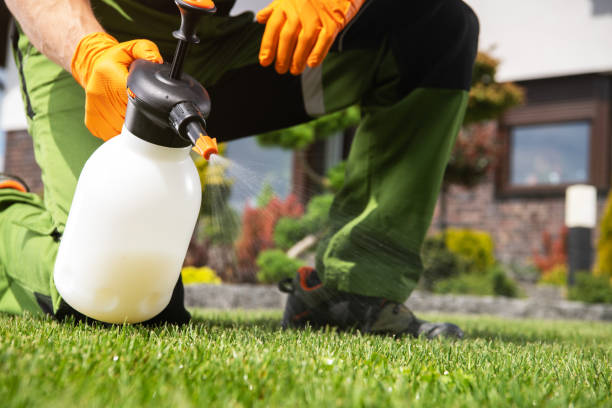 Best Best Pest Control Companies  in Mounds, OK