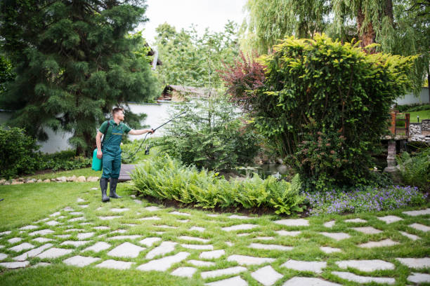 Best Pest Control Cost  in Mounds, OK