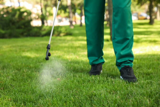 Best Residential Pest Control  in Mounds, OK