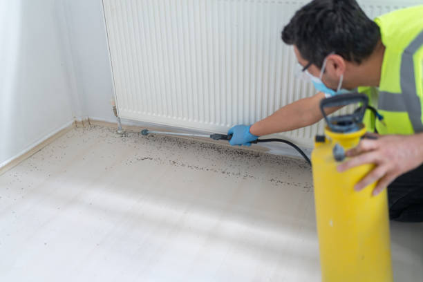 Best Mosquito Control Services  in Mounds, OK